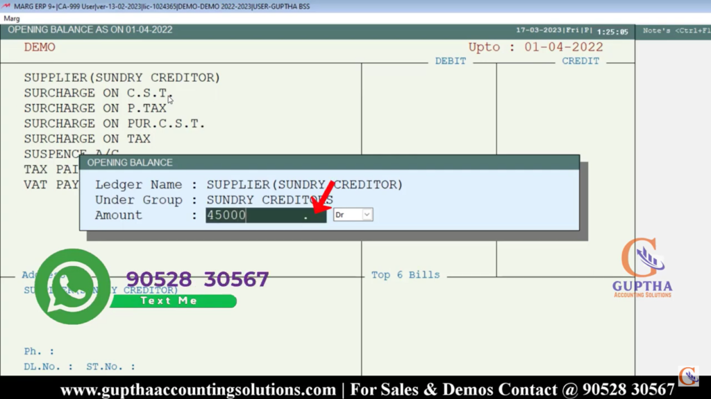 How to Enter Ledger Opening Balance in Marg ERP in Telugu 13