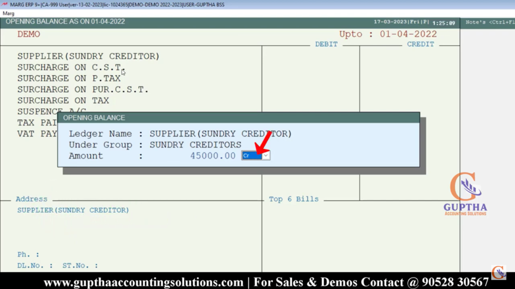 How to Enter Ledger Opening Balance in Marg ERP in Telugu 14